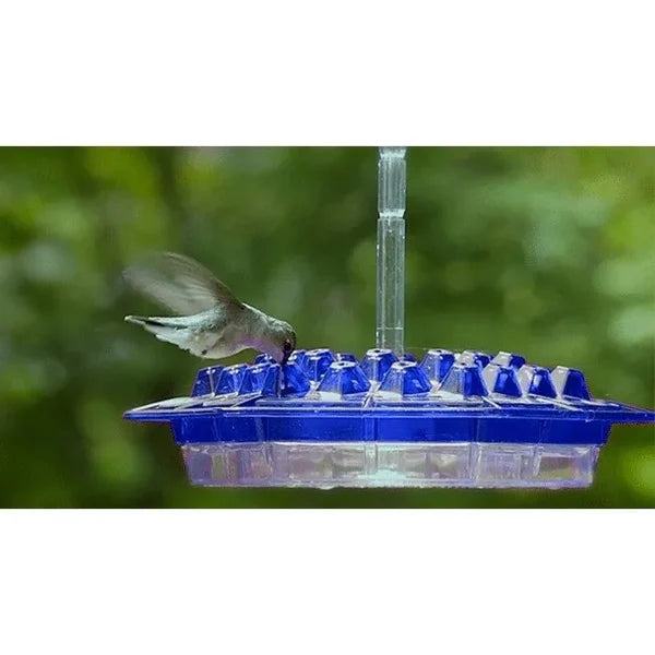 🔥BIG SALE - 50% OFF🔥🔥MARY'S HUMMINGBIRD FEEDER WITH PERCH