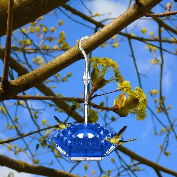 🔥BIG SALE - 50% OFF🔥🔥MARY'S HUMMINGBIRD FEEDER WITH PERCH