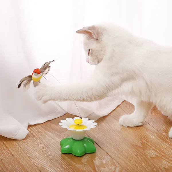 🔥Summer Promotion🔥Electric bird teasing cat toy